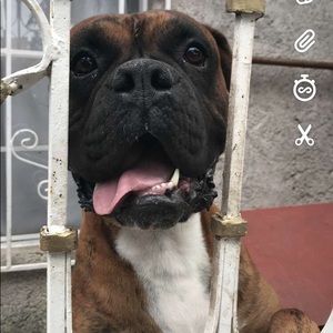 Meet your Posher, Jackie